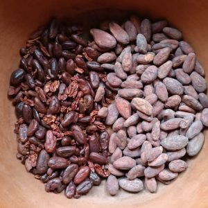 Conexión cacao
