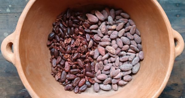 Conexión cacao
